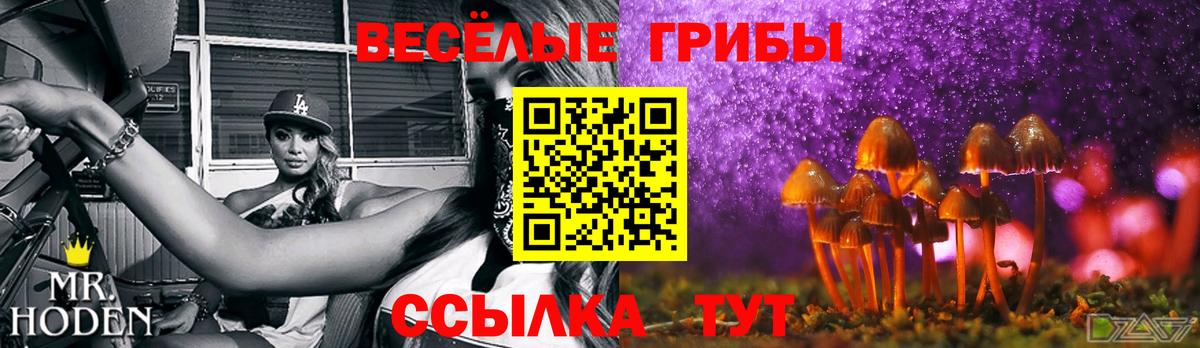 Псилоцибиновые грибы мухоморы  Вход с VPN  где можно купить наркотик  Первоуральск 